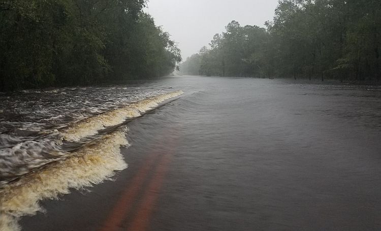 Lacrosse Flood