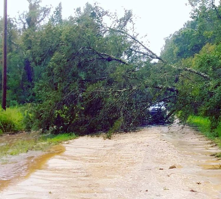 road blocked