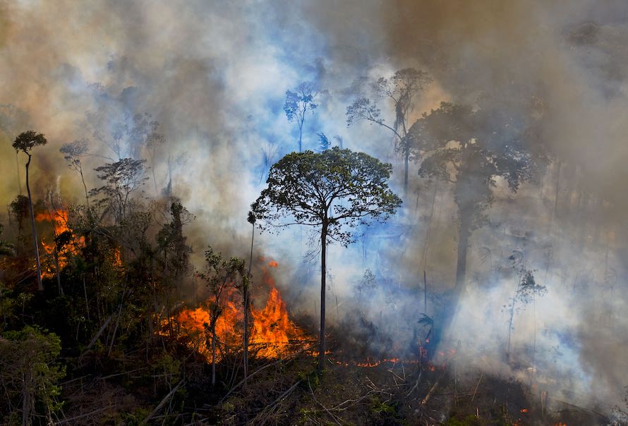 WAPO: The Amazon, Undone Devouring The Rainforest